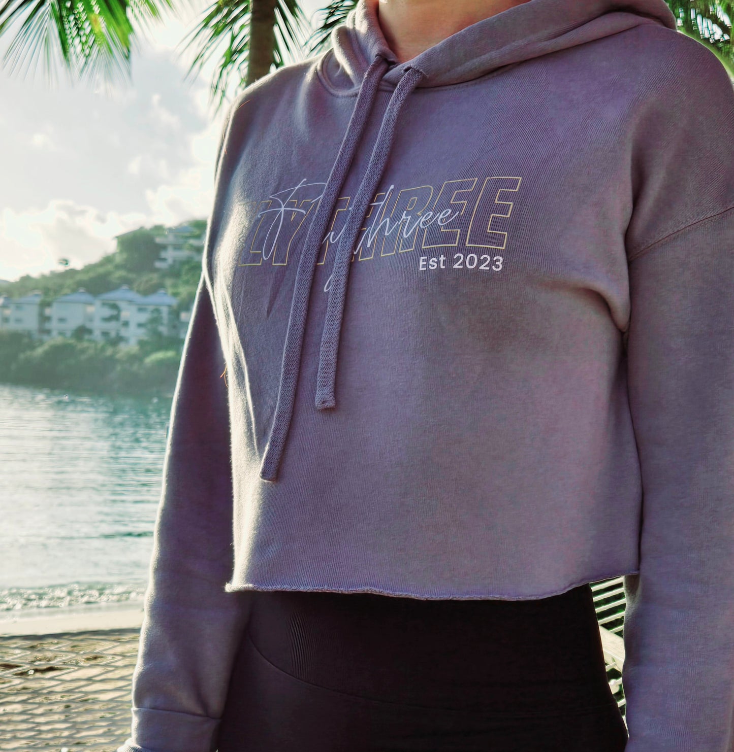 FlyThree Est. 2023 Crop Hoodie